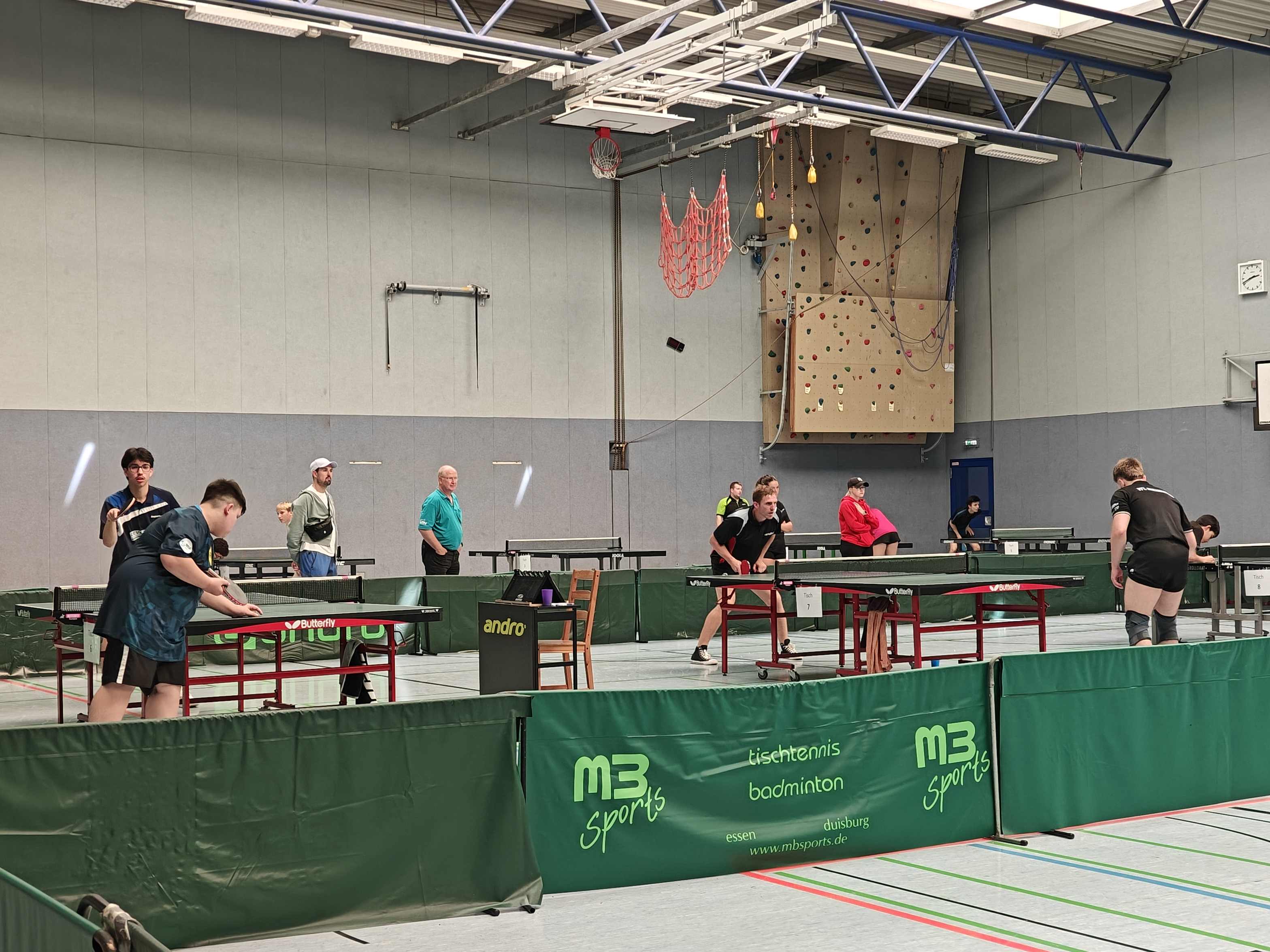 David im Halbfinale gegen Levin